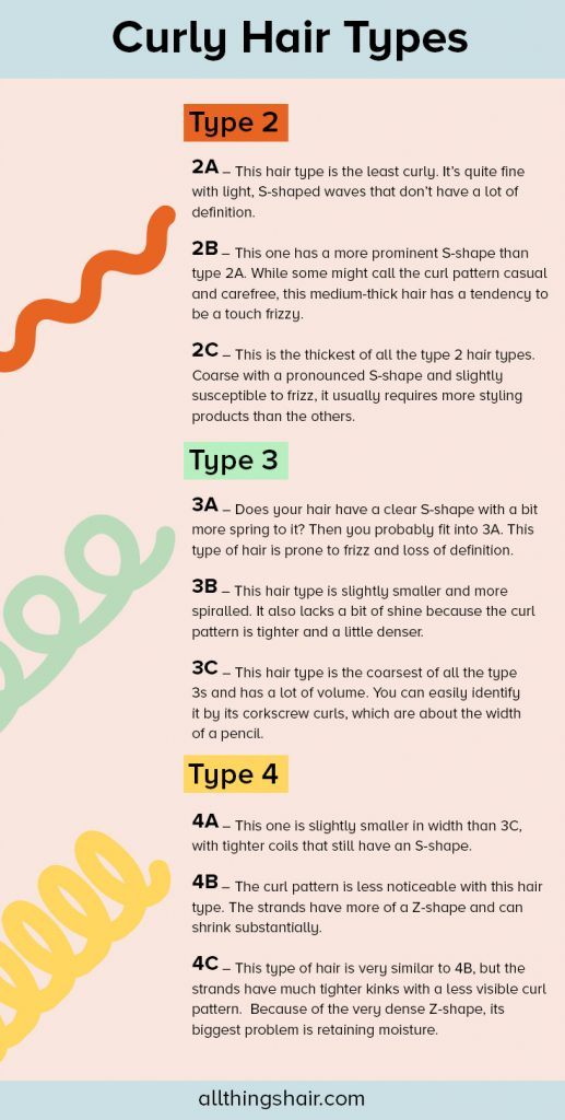 Types de cheveux bouclés Infographic All Things Hair UK