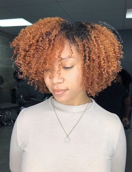 Faits saillants cuivrés: Photo d'une femme aux cheveux naturels avec des reflets cuivrés