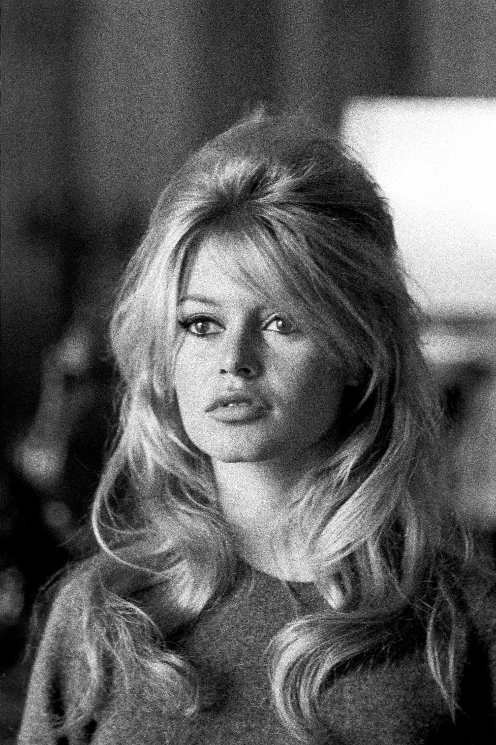 brigitte bardot avec une coiffure bouclée moitié haut moitié bas