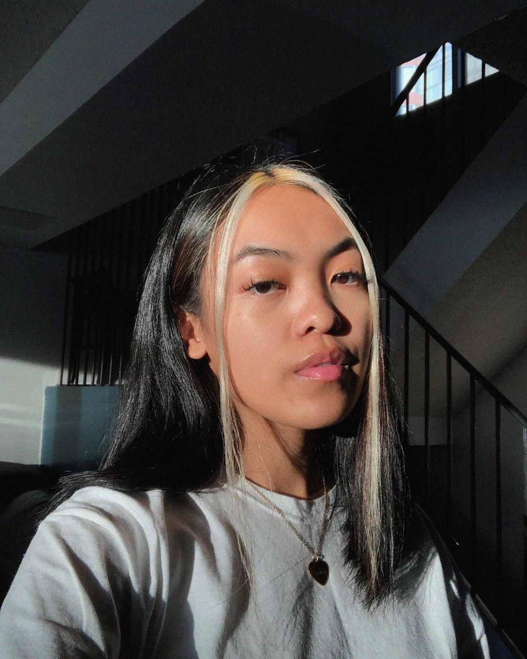 Fille aux cheveux brun foncé avec des mèches blondes décolorées sur le devant