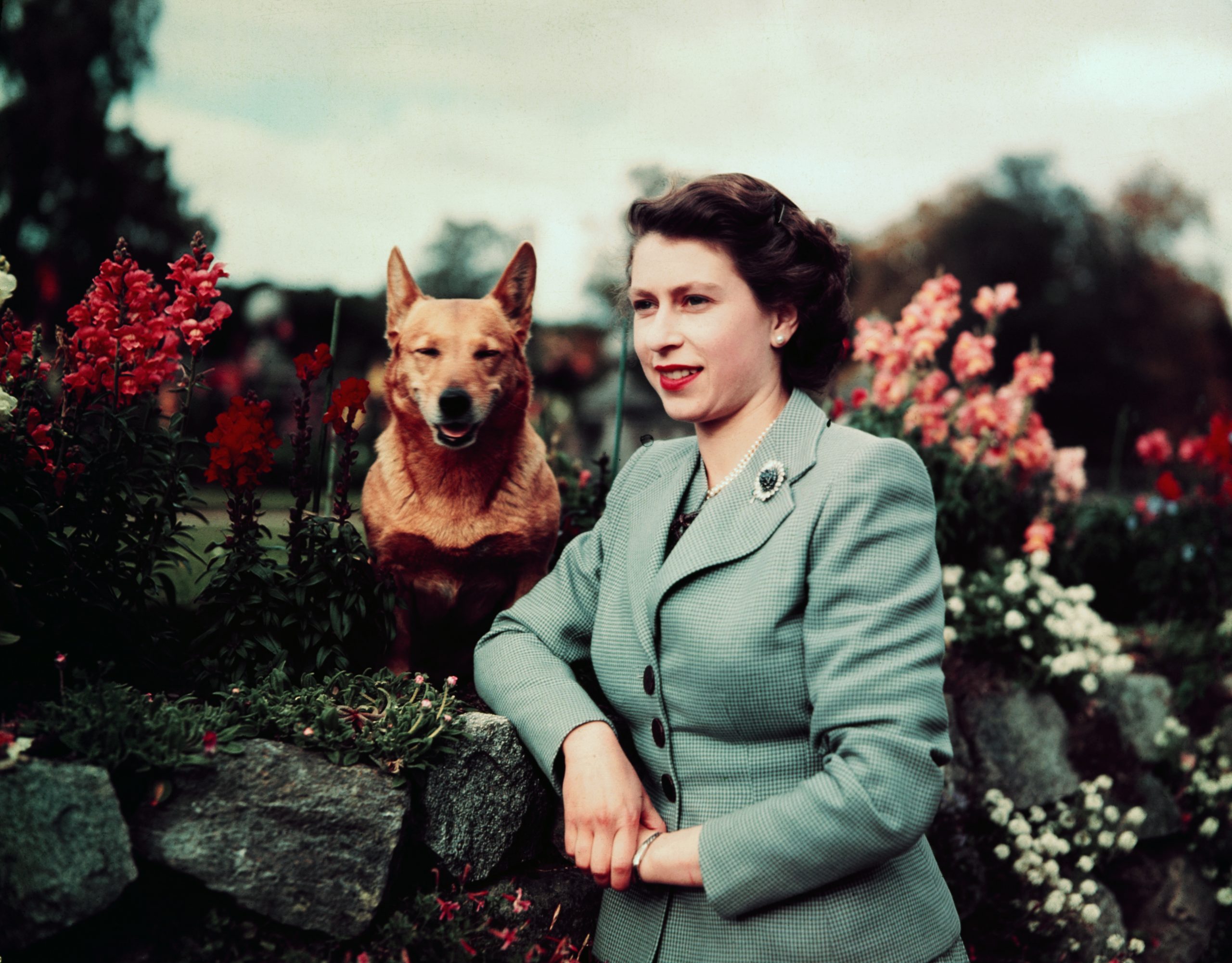 Une jeune reine avec l'un de ses chiens à Balmoral.
