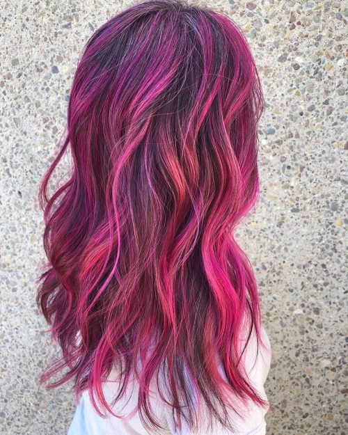 Magenta rose vif