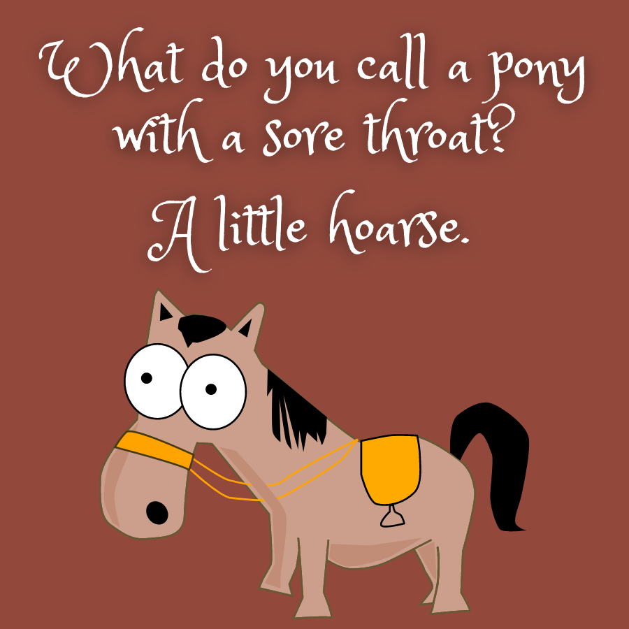 Une blague de papa poney