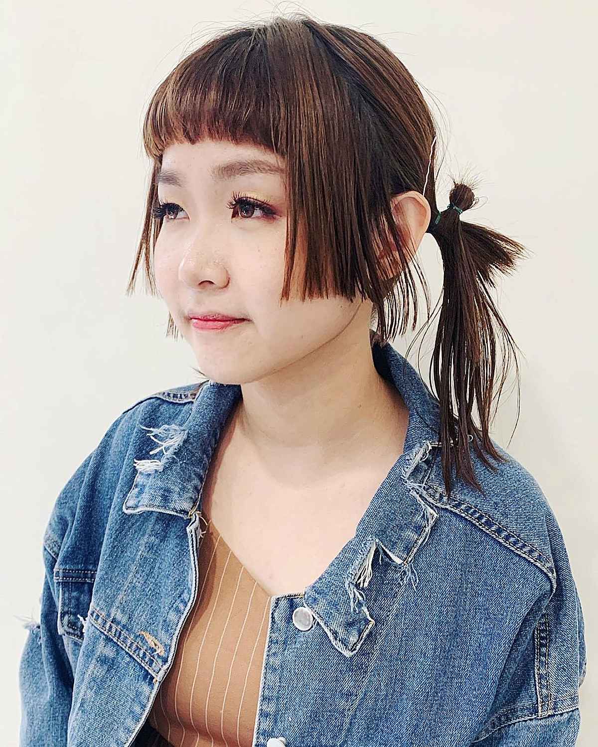 Hime Pigtails