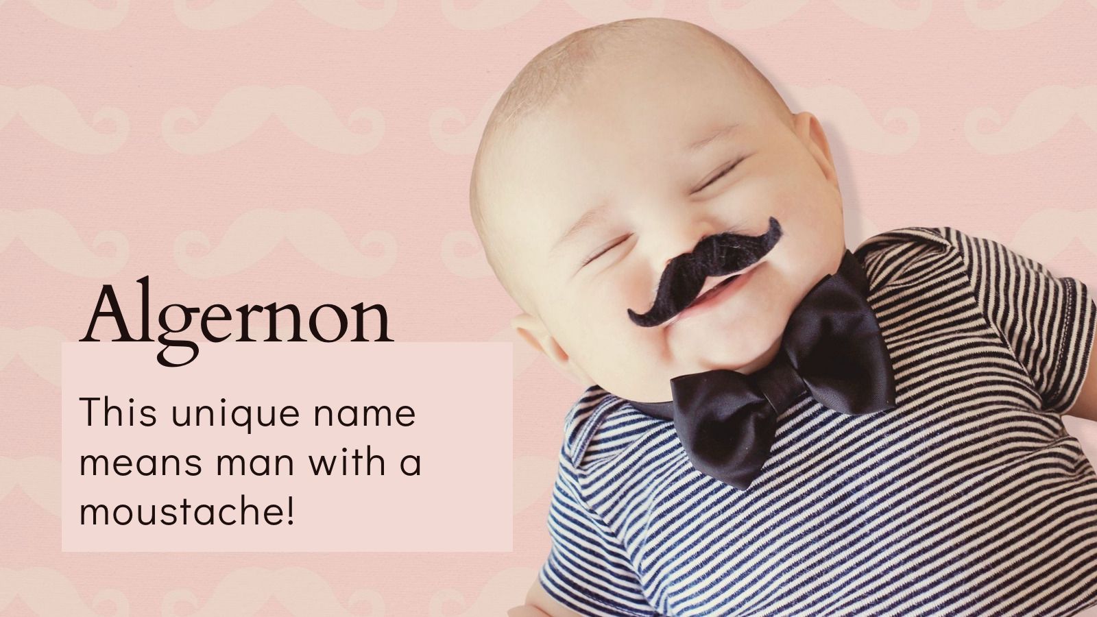 noms de bébé uniques algernon