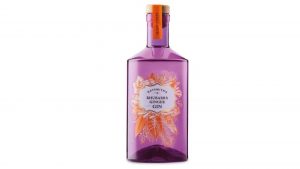 Haysmith's rhubarbe & ; gin au gingembre