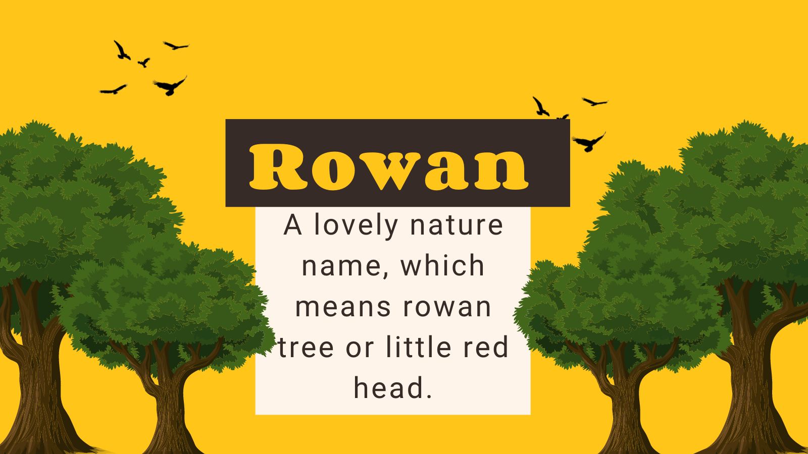 Fond jaune infographique avec des arbres pour illustrer les noms de bébés irlandais. 
